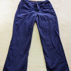 Gloria Vanderbilt "Amanda" Jeans Cobalt Blue Size 10